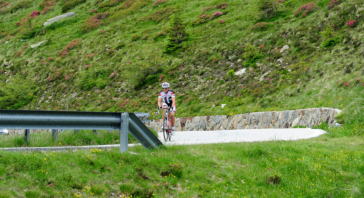 Gite in bicicletta in Val Venosta