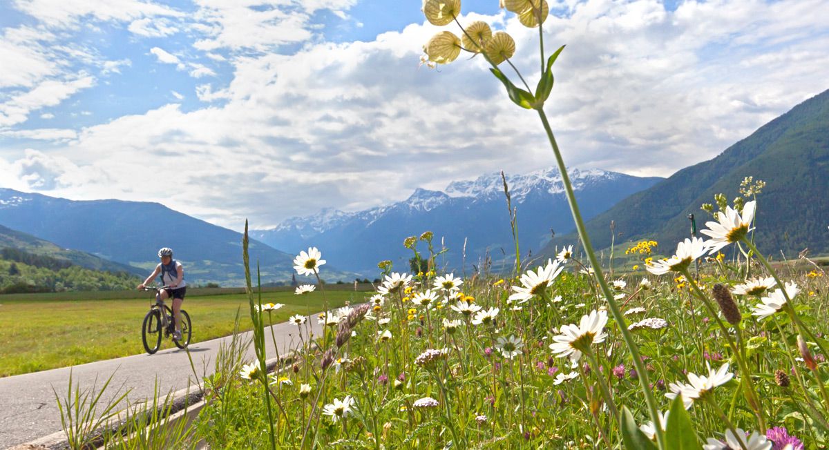 Gite in bicicletta in Val Venosta