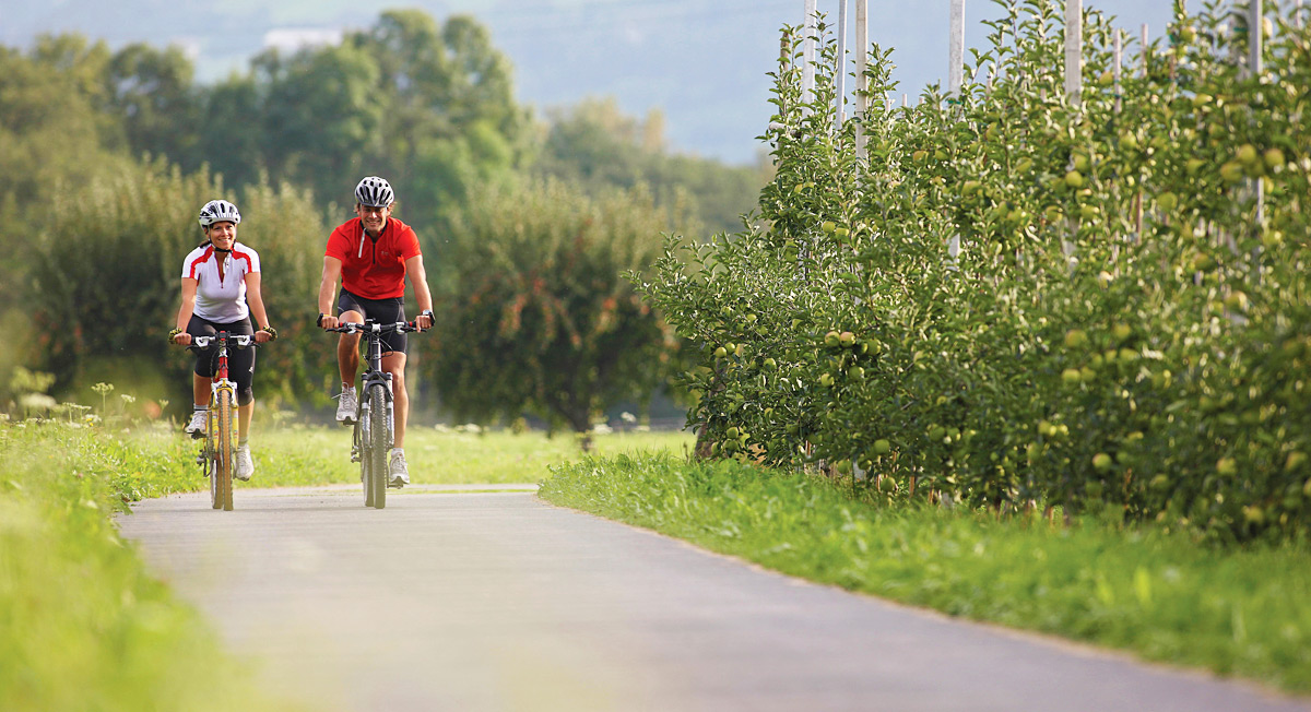 Biketouren und Radwanderungen im Vinschgau